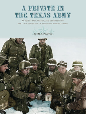 cover image of A Private in the Texas Army